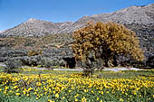 Creta - Lungo la strada da Retimo a Iraklion. 